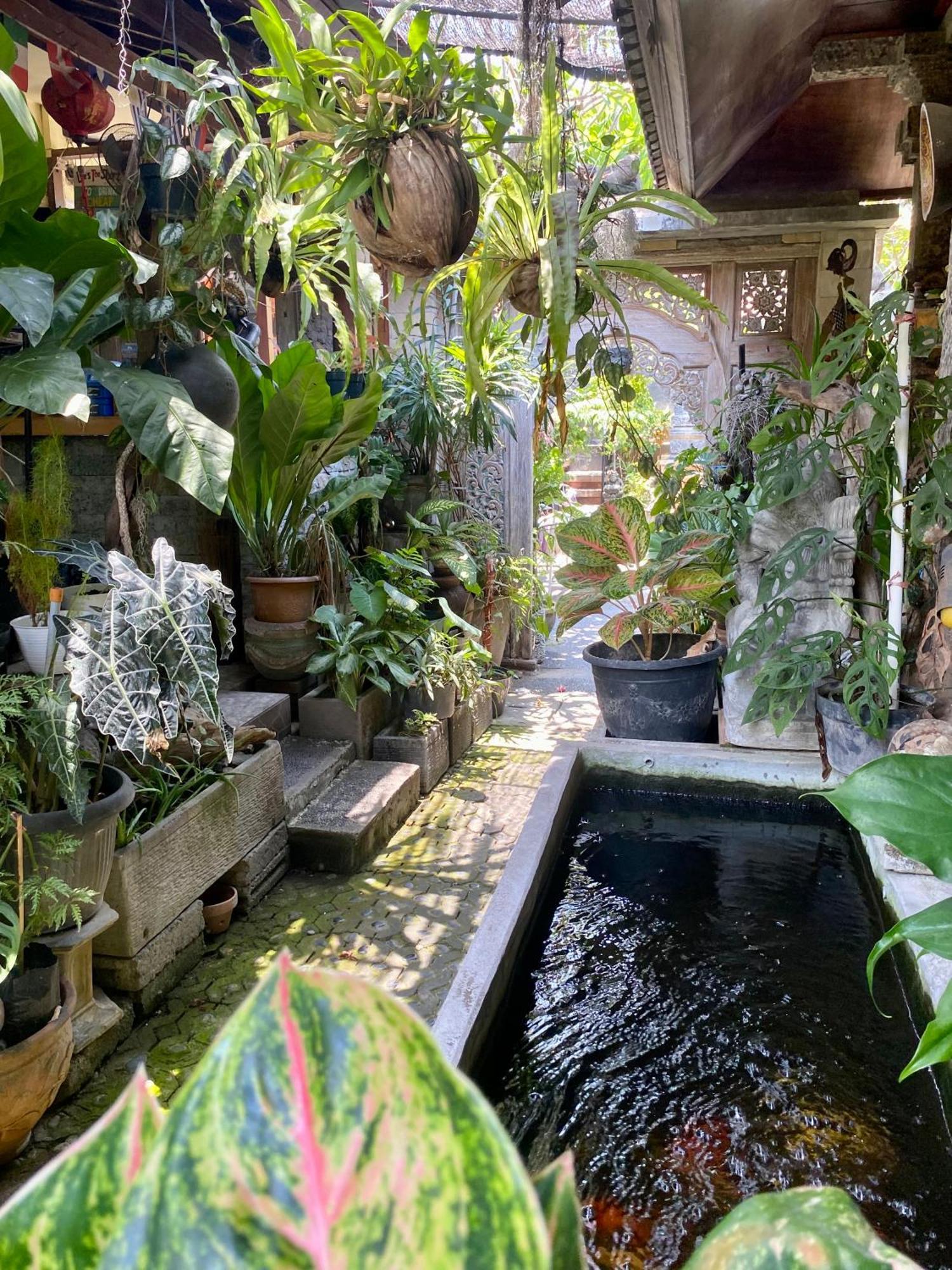 Frog Homestay Sanur Екстериор снимка